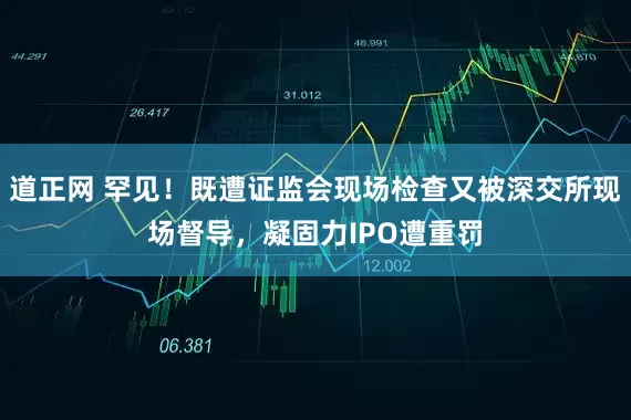 道正网 罕见！既遭证监会现场检查又被深交所现场督导，凝固力IPO遭重罚