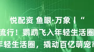 悦配资 鱼眼·万象丨“活潮玩”正流行！鹦鹉飞入年轻生活圈，撬动百亿萌宠市场
