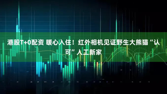 港股T+0配资 暖心入住！红外相机见证野生大熊猫“认可”人工新家
