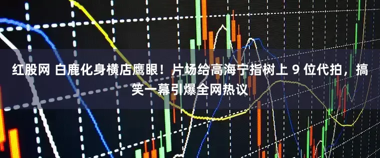 红股网 白鹿化身横店鹰眼！片场给高海宁指树上 9 位代拍，搞笑一幕引爆全网热议